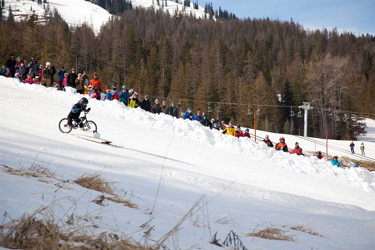 Raging Elk Dummy Downhill