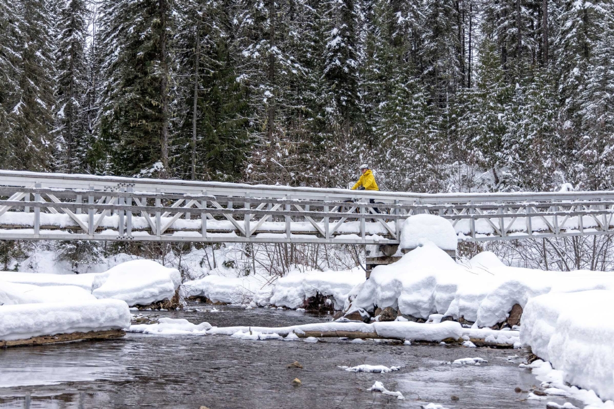 Fat Biking on Gorby Bridge in Mt Fernie Provincial Park