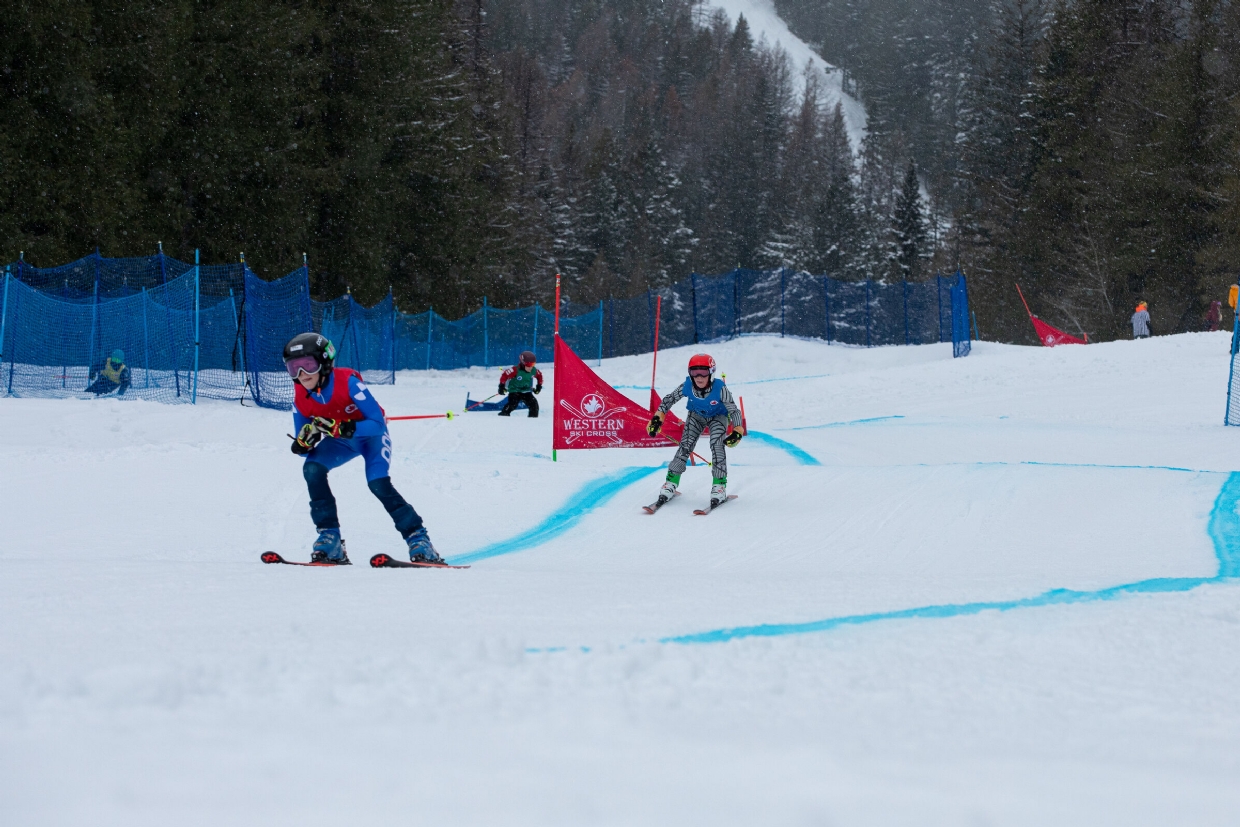 Ski Cross Racers
