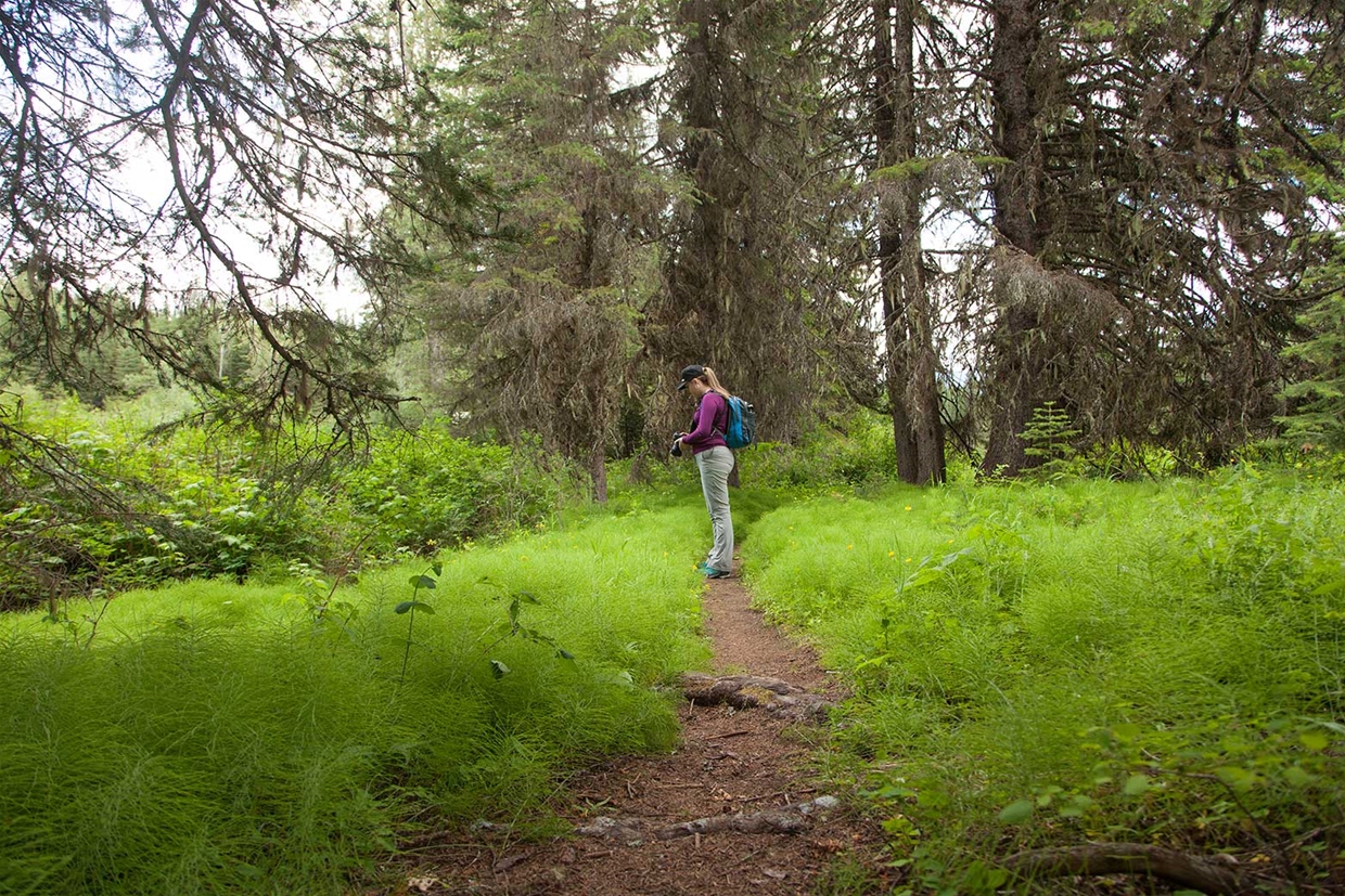 Cedar Vally Rail Trail