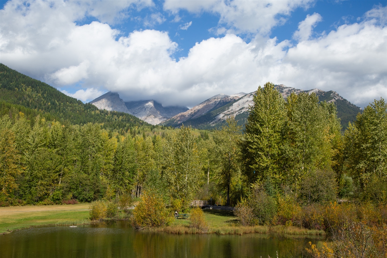 The Fernie City Trail in Annex Park