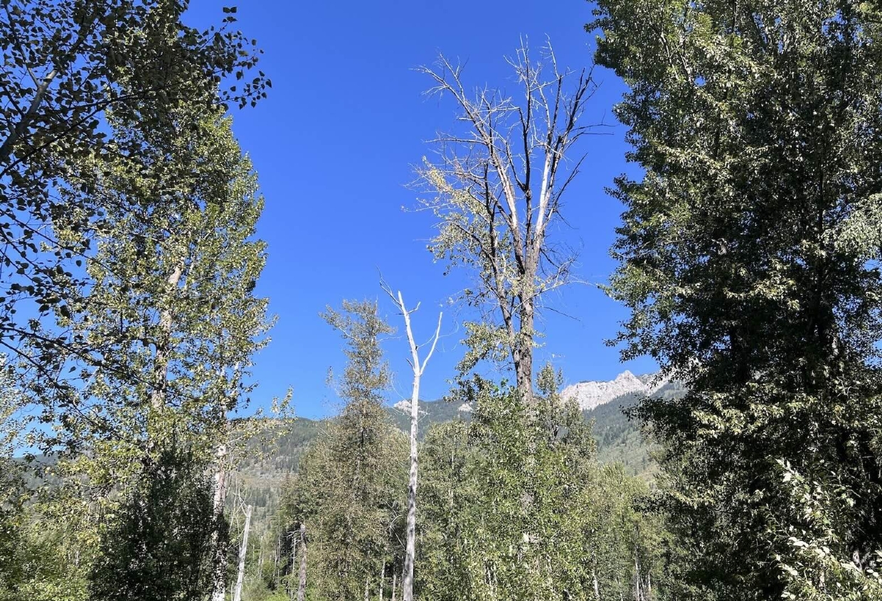 Looking Northwest from Silver Springs Trailhead. 11:30am, August 23rd, 2025.