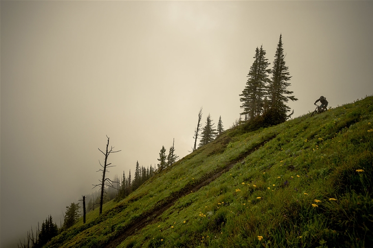 Riding Dirt Diggler Trail in Fernie