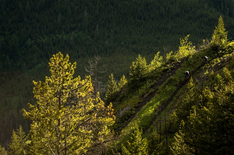 Riding Dirt Diggler Trail in Fernie