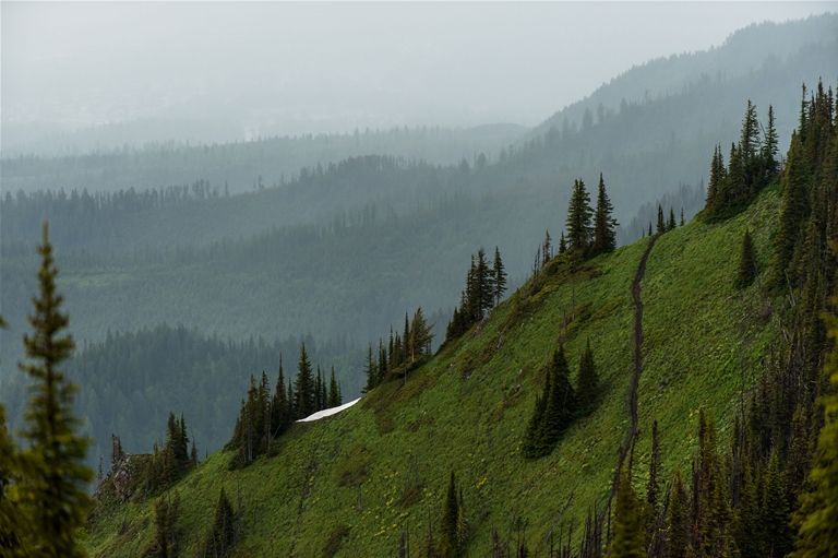 Dirt Diggler Mountain Bike Trail in Fernie