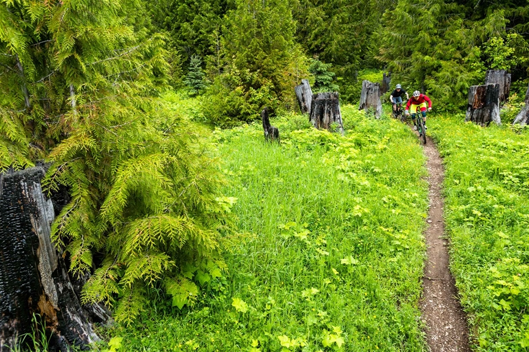 Riding Project 9 trail