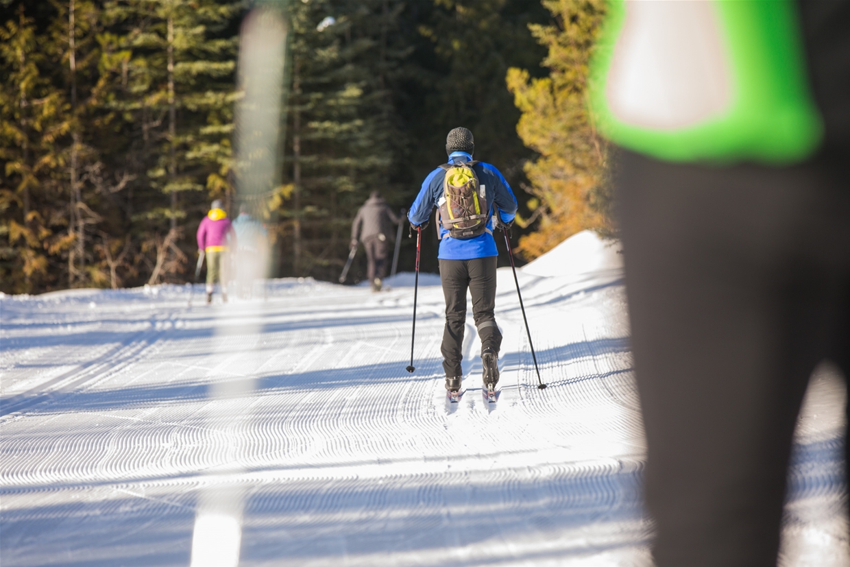 Ski out from the Elk Valley Nordic Centre to Fernie Alpine Resort