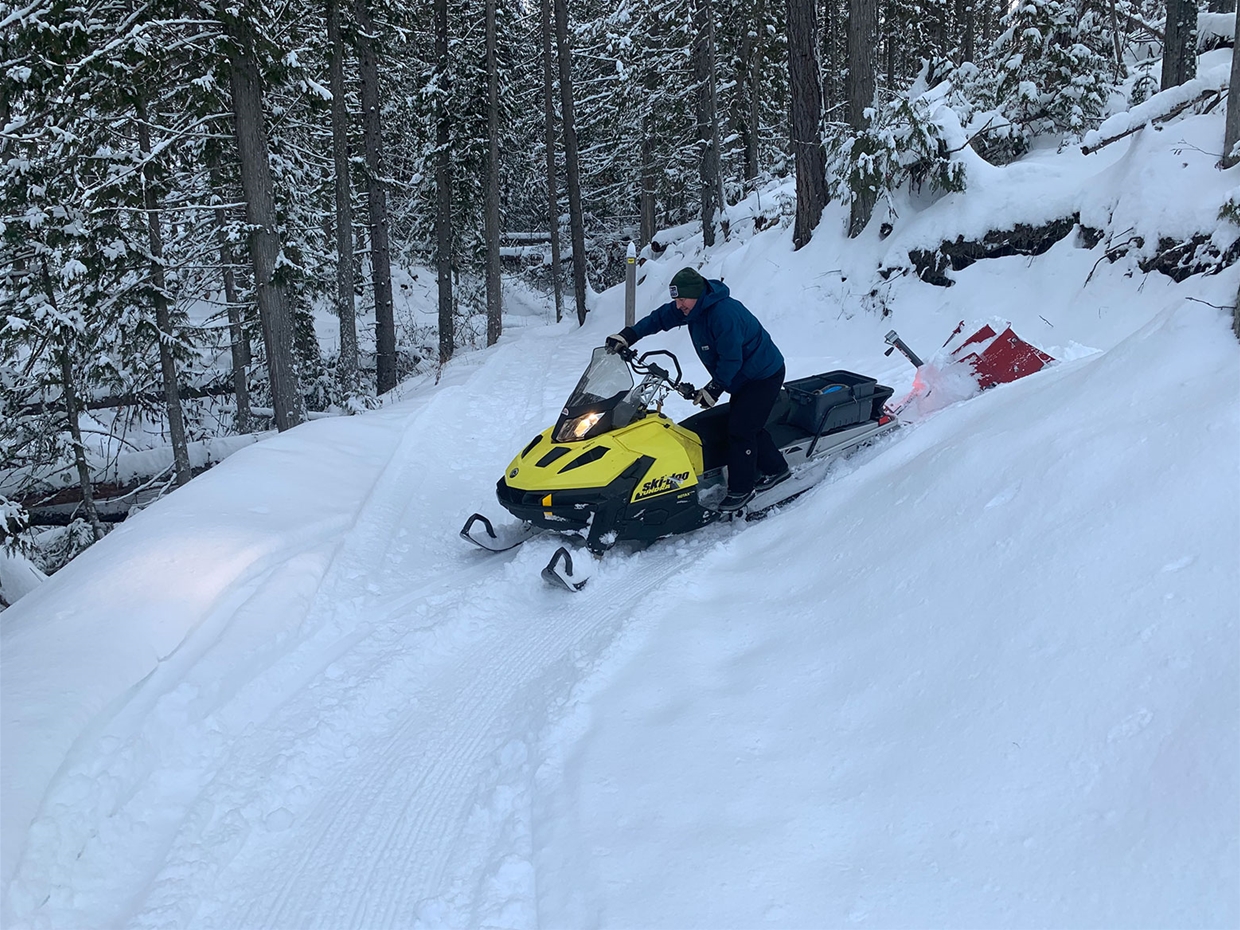 Montane Winter Grooming