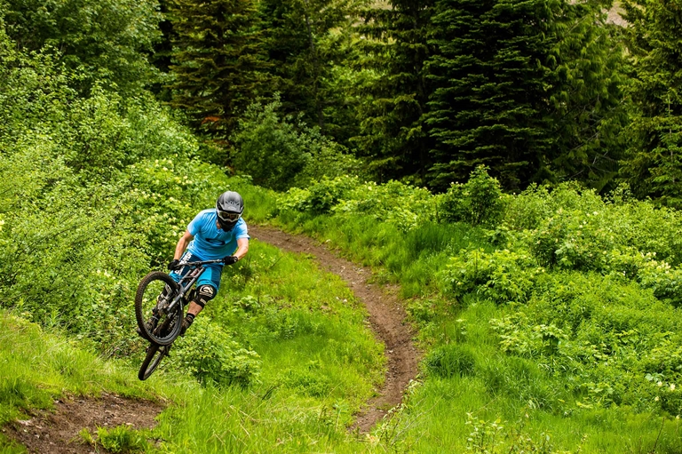 DH riding the Fernie Bike Park at Fernie Alpine Resort