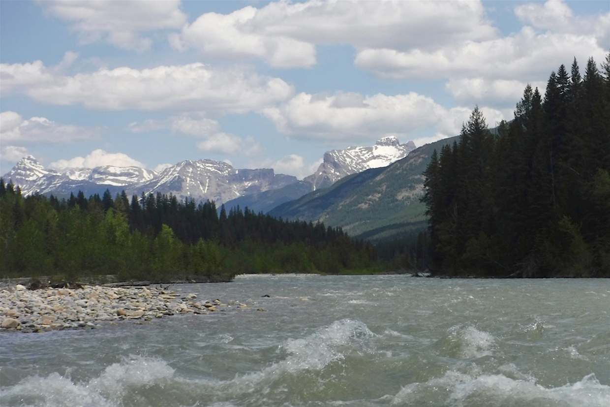 Whitewater Rafting on the Bull River