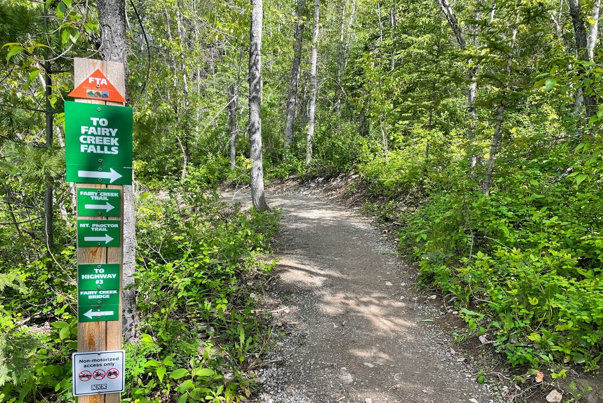 Trail to Fairy Creek Falls 