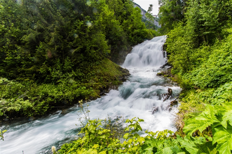 Fairy Creek Falls in springtime Fairy Creek Falls in springtime