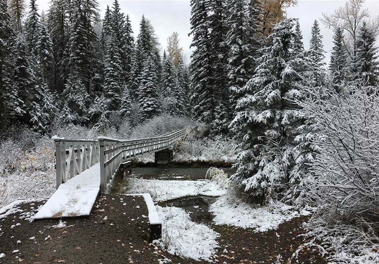 Trails at Mt Fernie Provincial Park - Fall Season