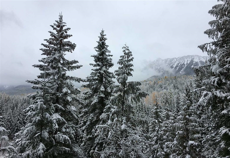 Views from Mt Fernie Provincial Park trails - early dusting of snow in fall season