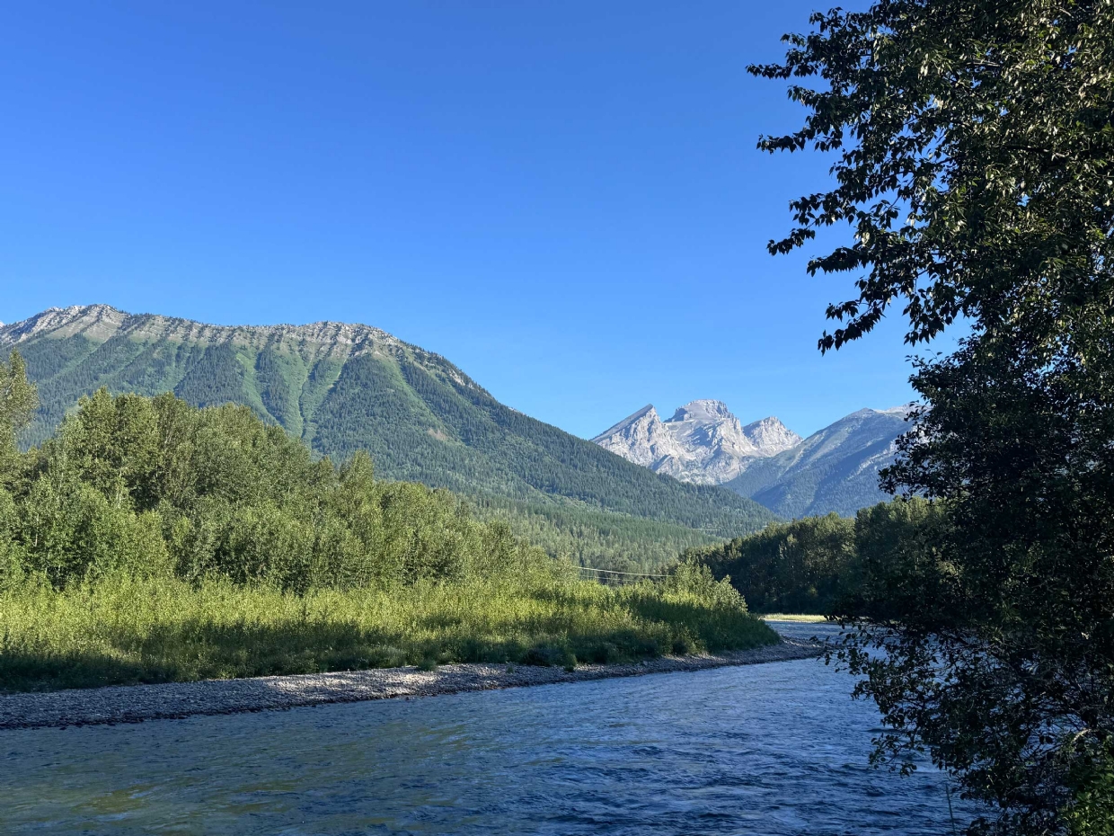 A stunning day in Fernie on July 8, 2025 at 8:45am looking east