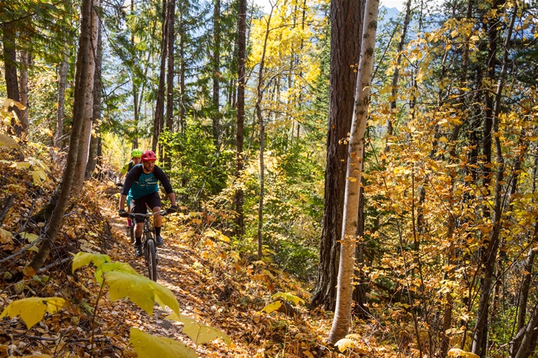 Fall mountain biking on Hyper Vent Trail in Fernie