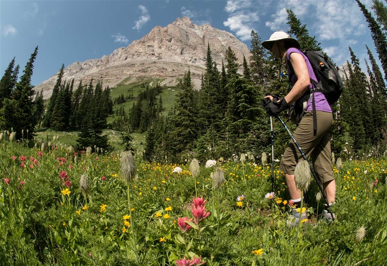 Heiko's Trail / Mountain Lakes Trail