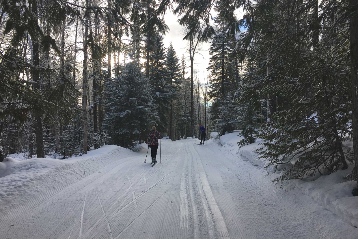 Cross-country skiing at Fernie Alpine Resort XC Trails