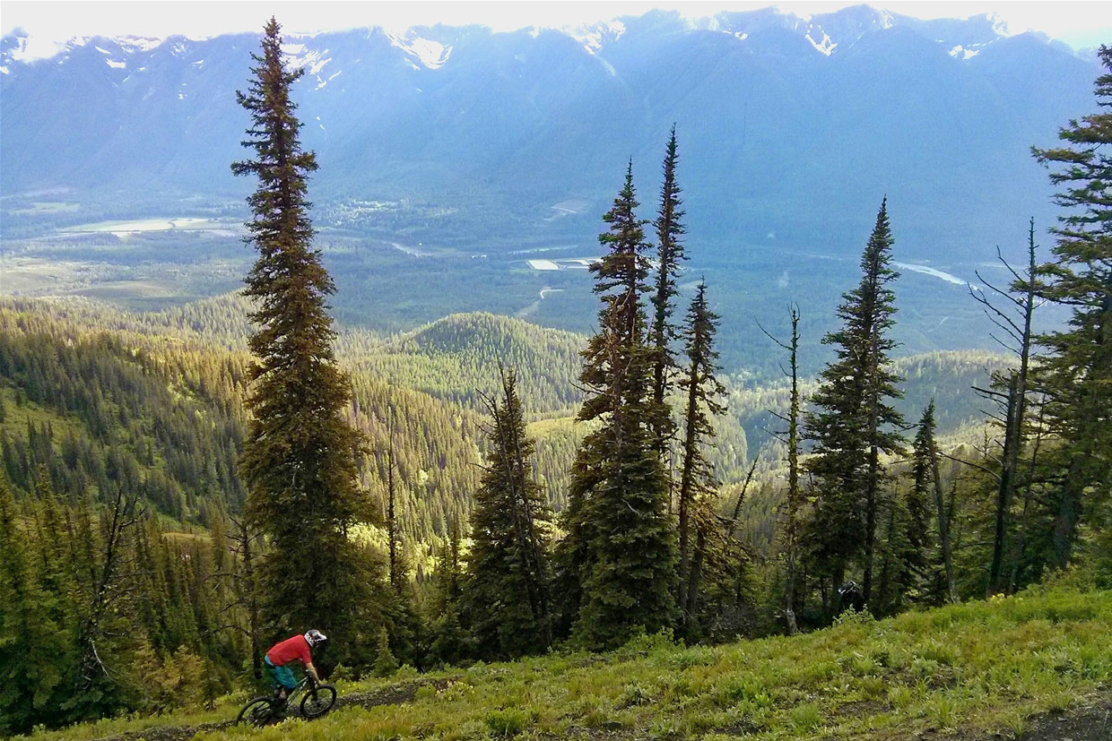 Pink Bike in Fernie