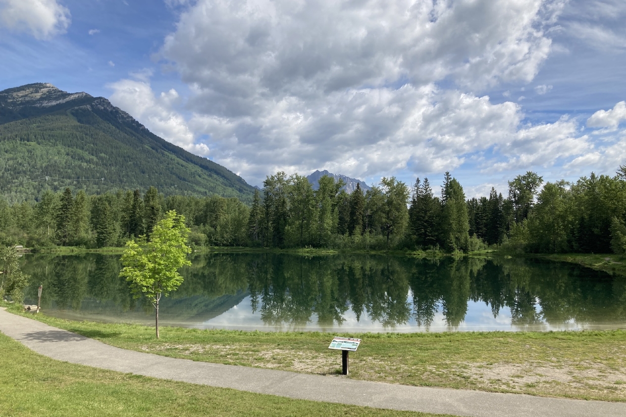 Maiden Lake looking North. 10am, Saturday, June 7th, 2025.