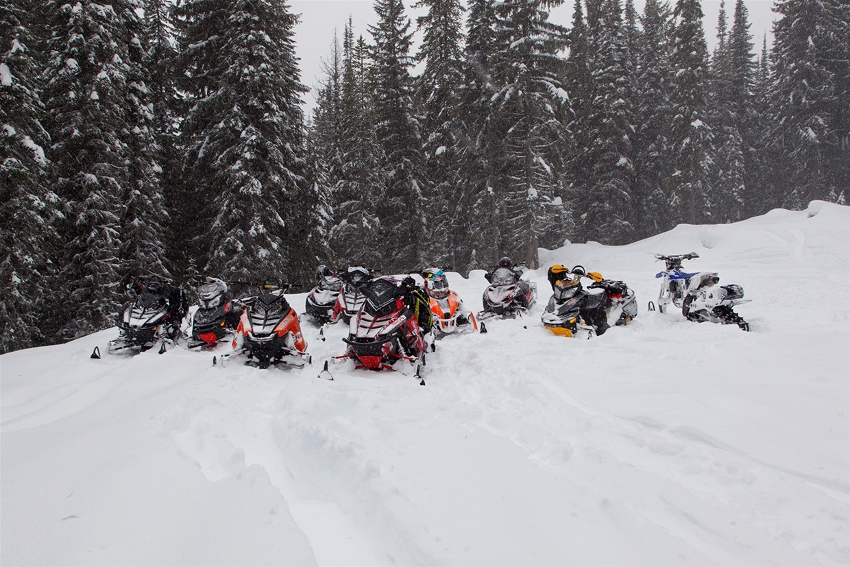Avalanche Safety Training with Elk Valley Snow Shepherds