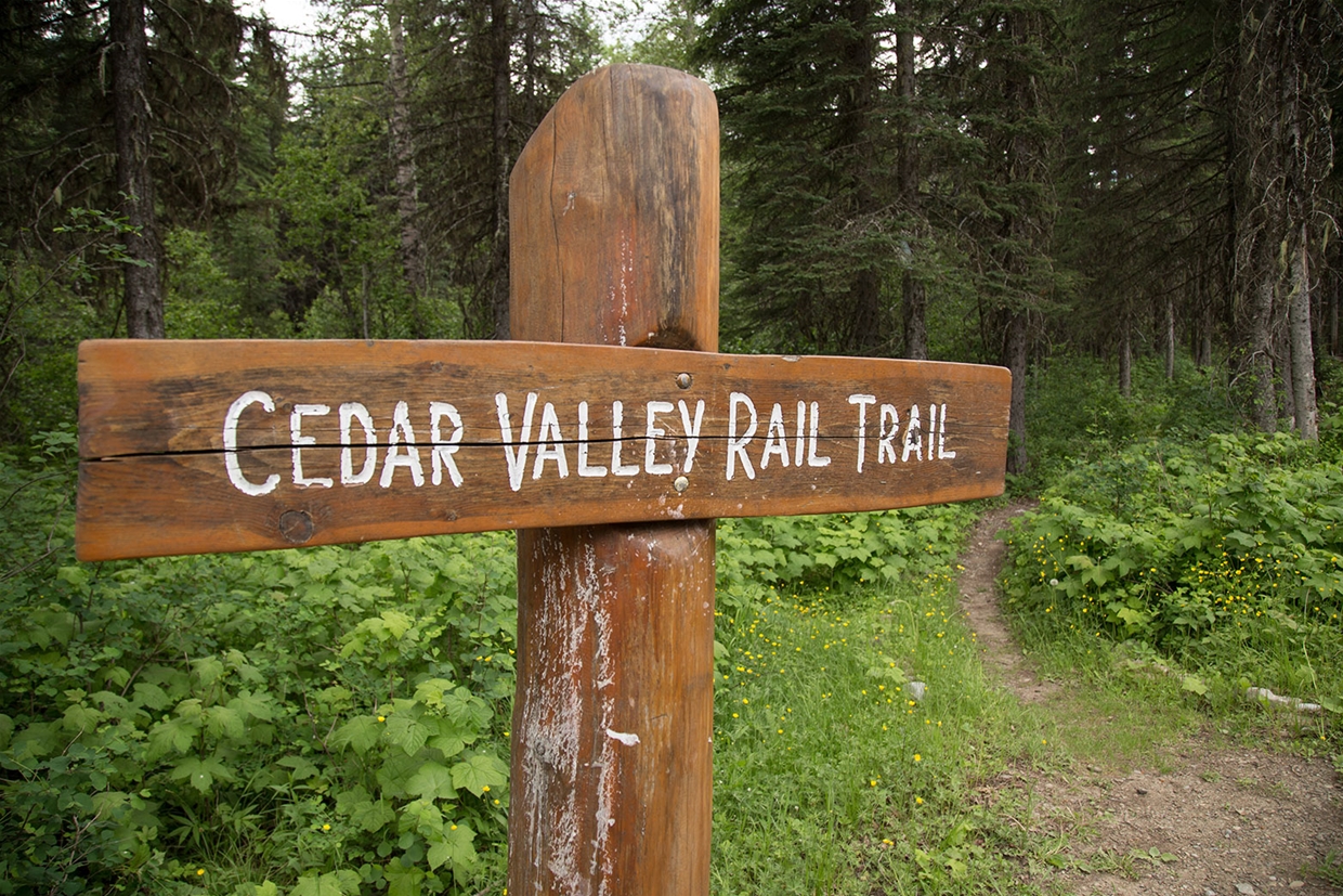 Photo by Adelle Jackman