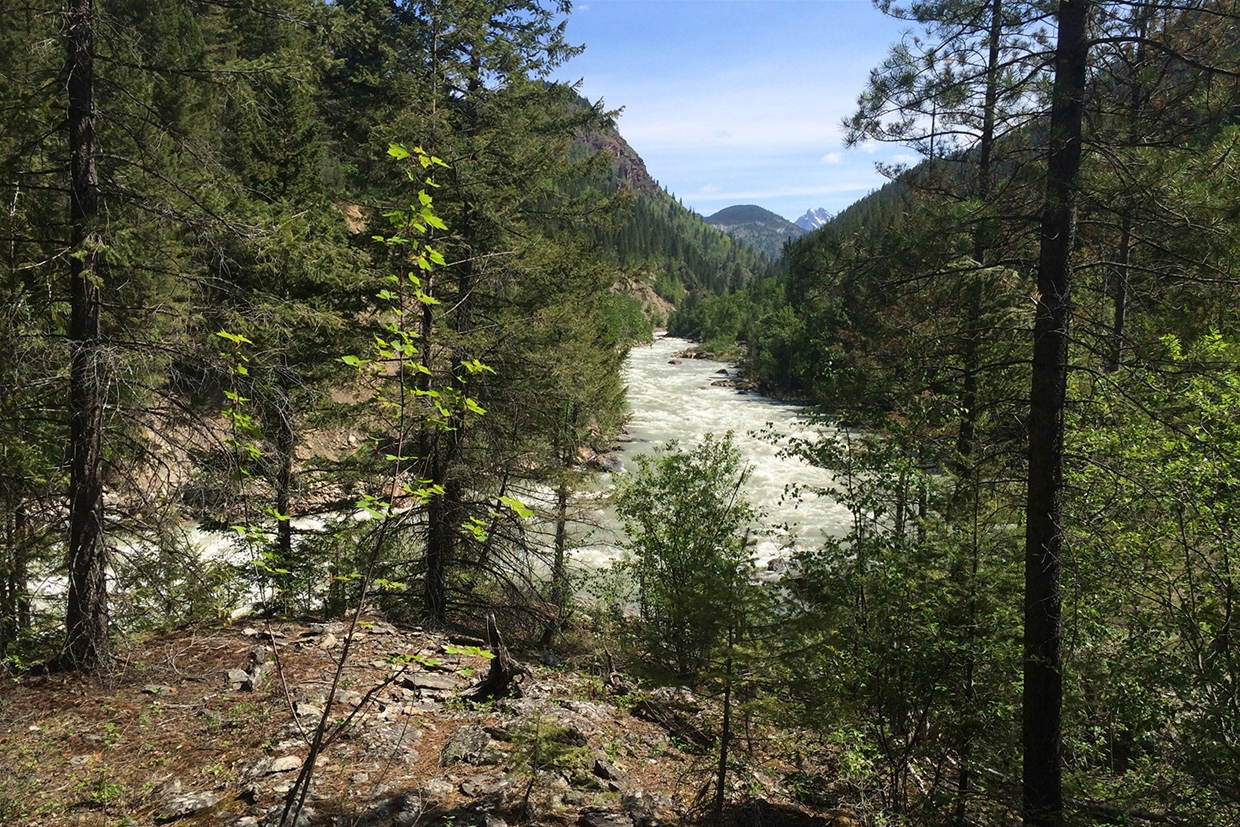 On the way to the Bull River with Canyon Raft Company