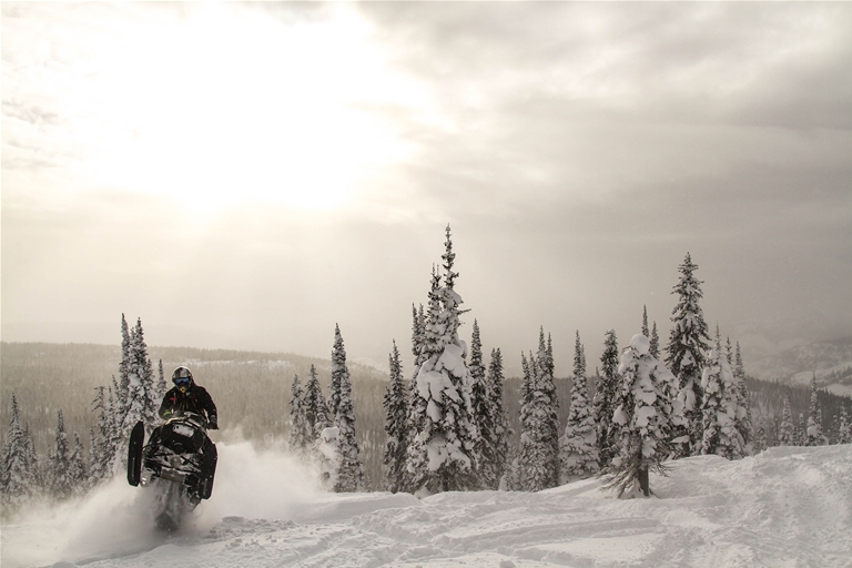 Snowmobiling in Fernie - January 2017