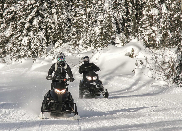 Snowmobiling around Fernie - January 2017