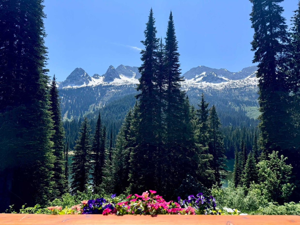 Views from Island Lake Lodge on June 10, 2025 2:30pm