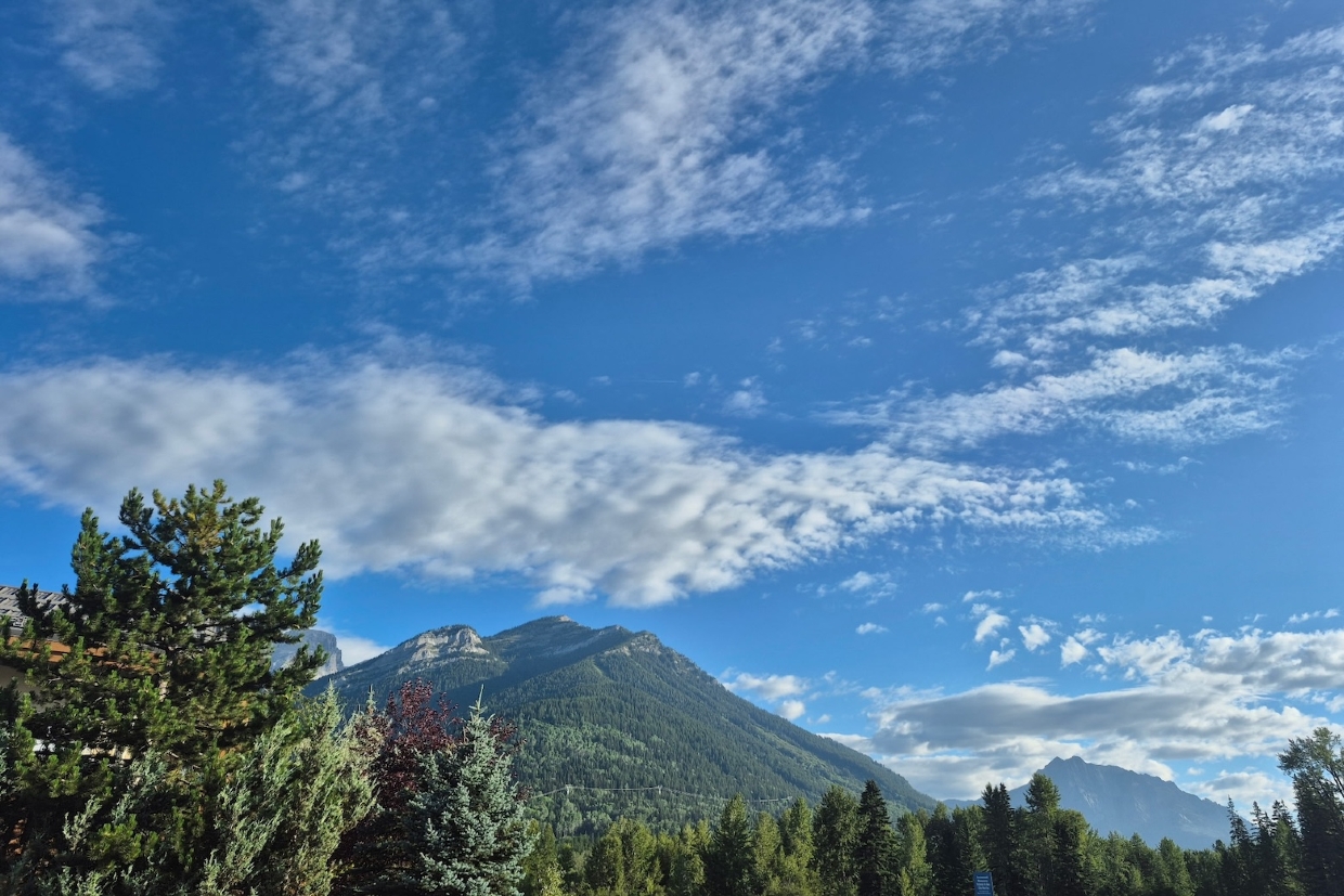 Mt Proctor, looking North. 8am, Saturday, July 26th, 2025.
