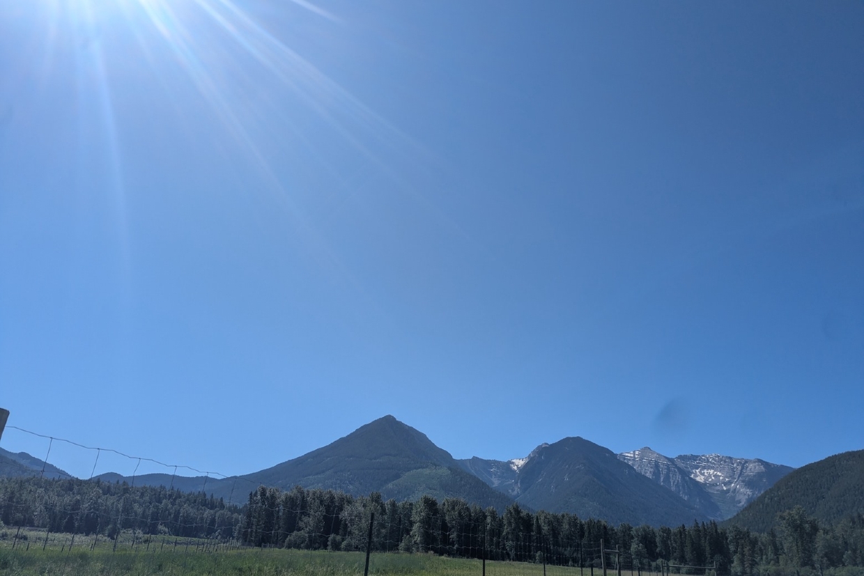 Morrissey Meadows Conservatory, looking Southeast. 10.45am, Monday, June 30th, 2025.