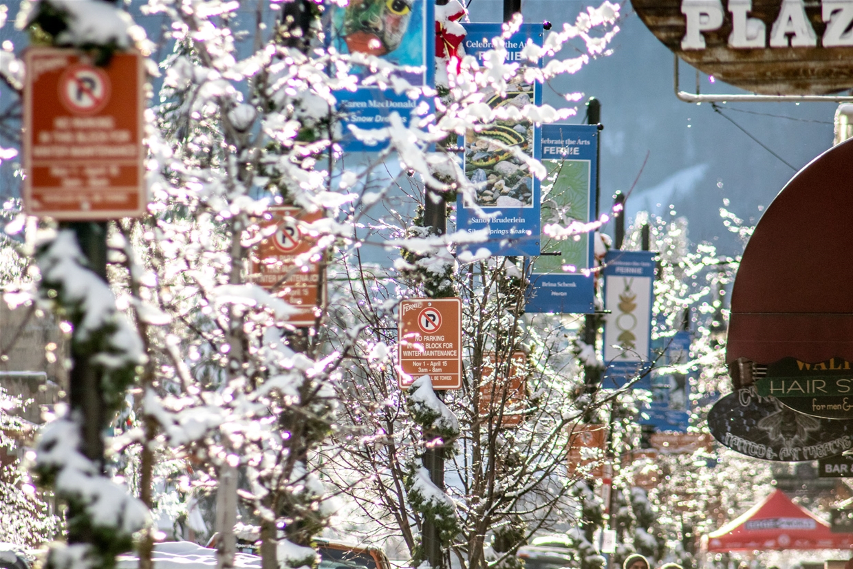 Art Banners in Historic Downtown Fernie