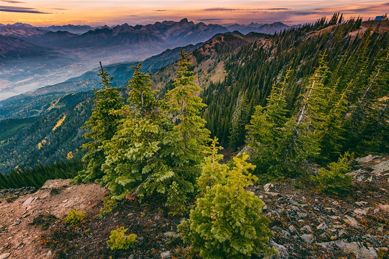 Views of the Rocky Mountains & Fernie from Morrissey Ridge - Fall season
