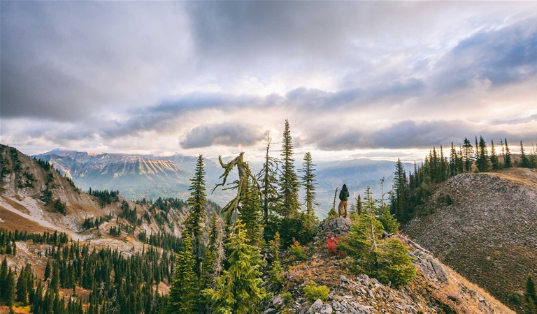 Hiker on the Lizard Range overlooking Fernie, Fall season