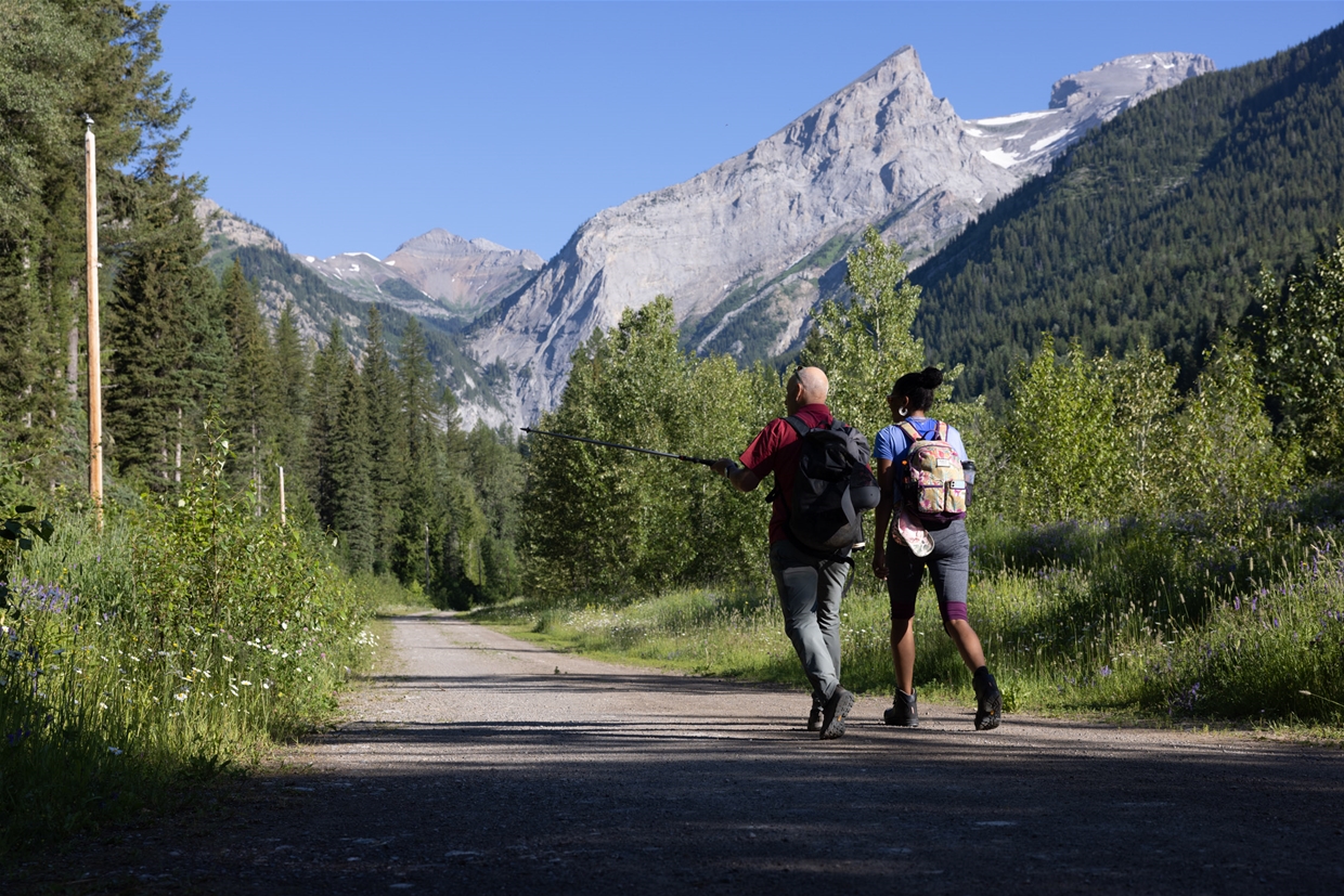 Trail head to Mt Fernie Ridge
