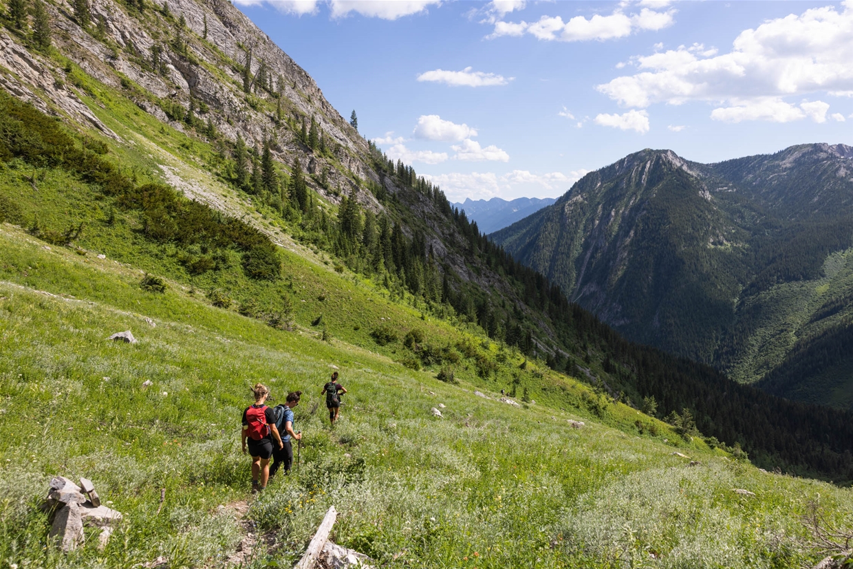 Descending Mt. Proctor meadows