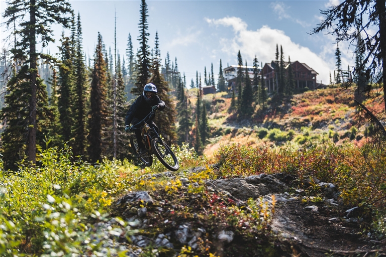 Downhill biking at Fernie Alpine Resort