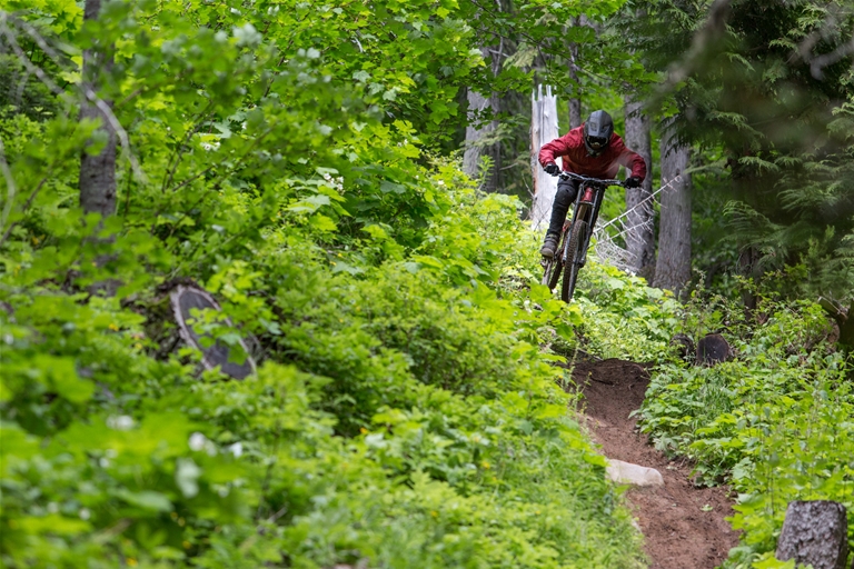 Downhill biking at Fernie Alpine Resort