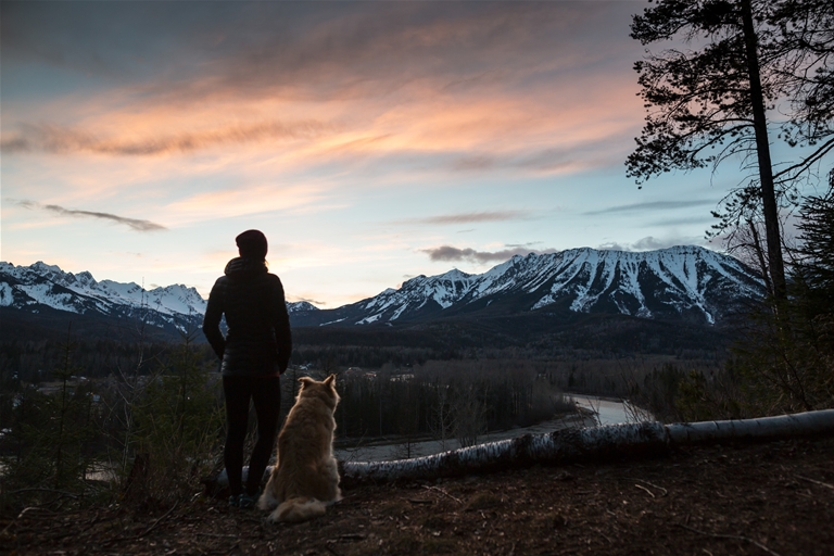 Spring Montane hike Spring Montane hike