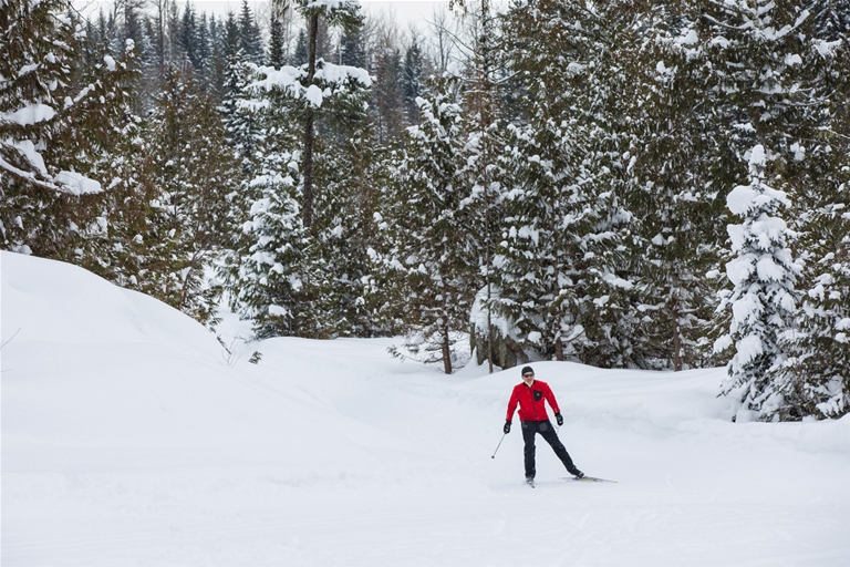 Elk Valley Nordic Centre in Fernie - Skate skier