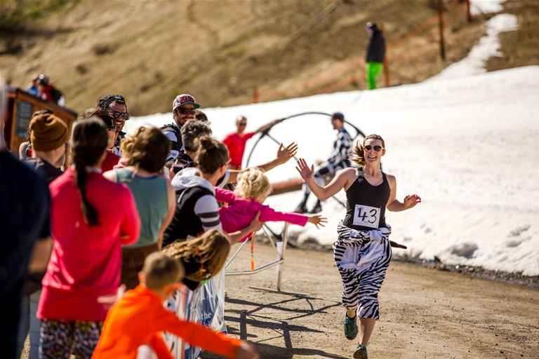 Powder Pedal Paddle - Sprint Finish Powder Pedal Paddle - Sprint Finish