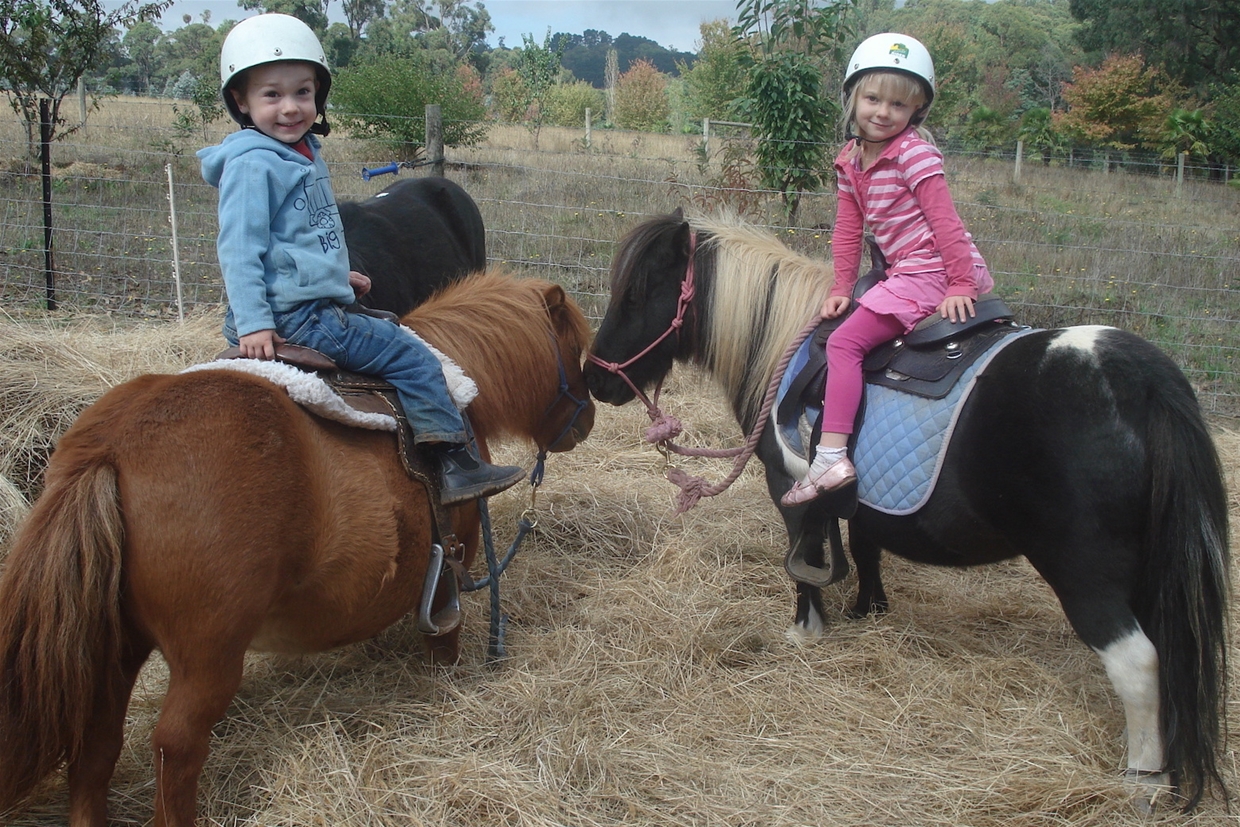 Pony Rides