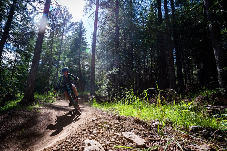 Class 1 eBikes are welcome to ride Fernie's Bike Trail Network