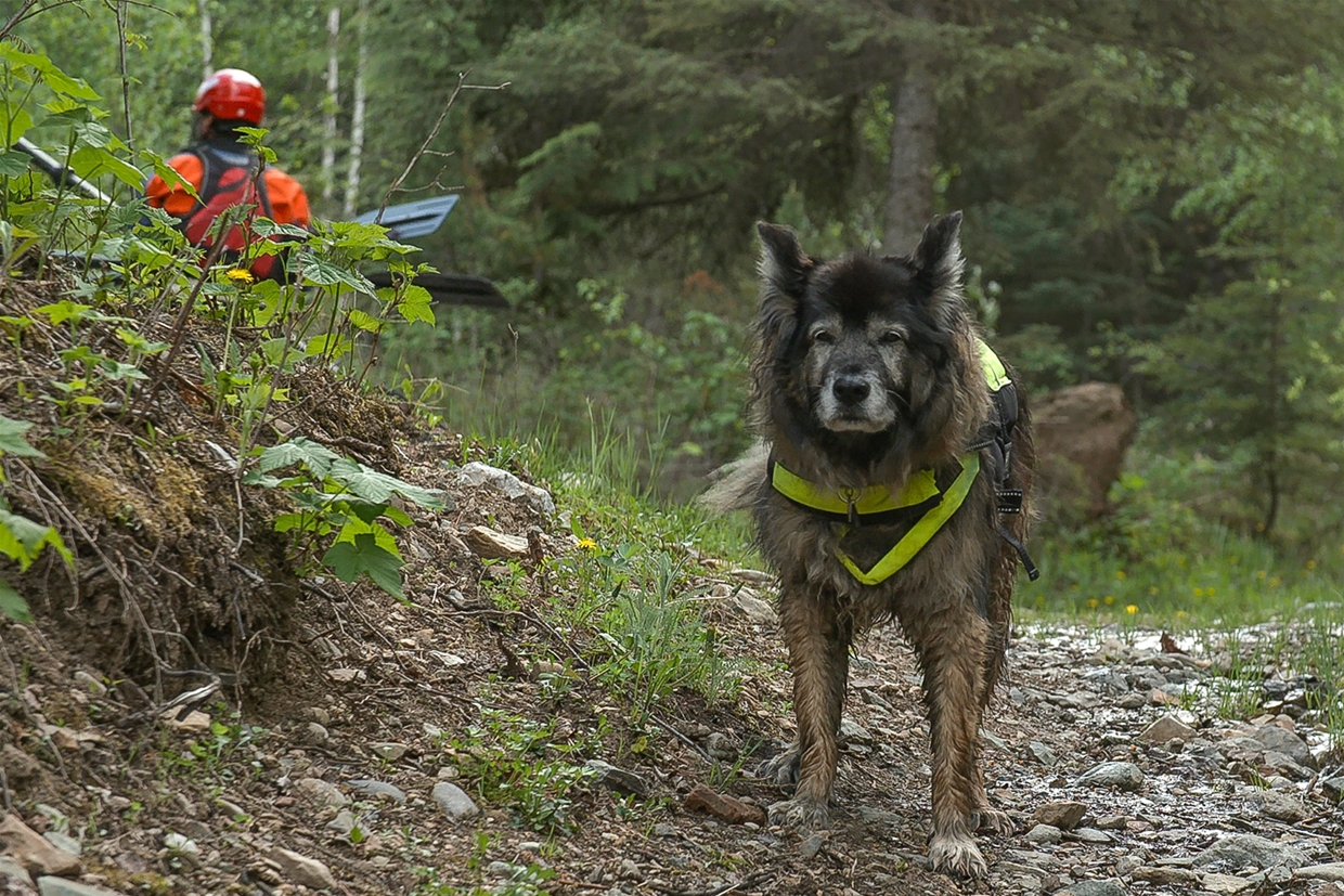 Whitewater Rafting with Canyon Raft Company