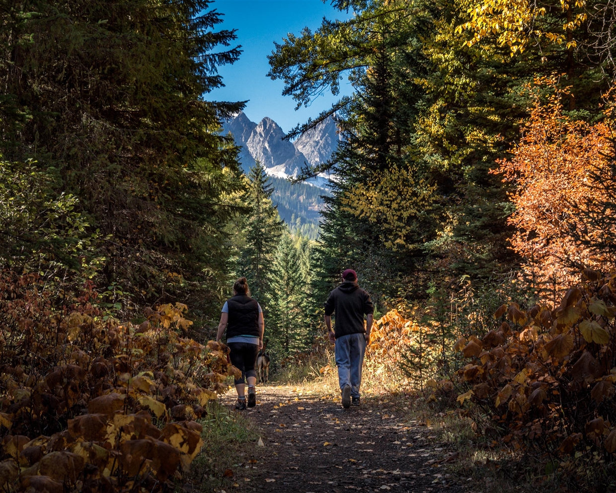 Fernie Provincial Park - Mike Cotton
