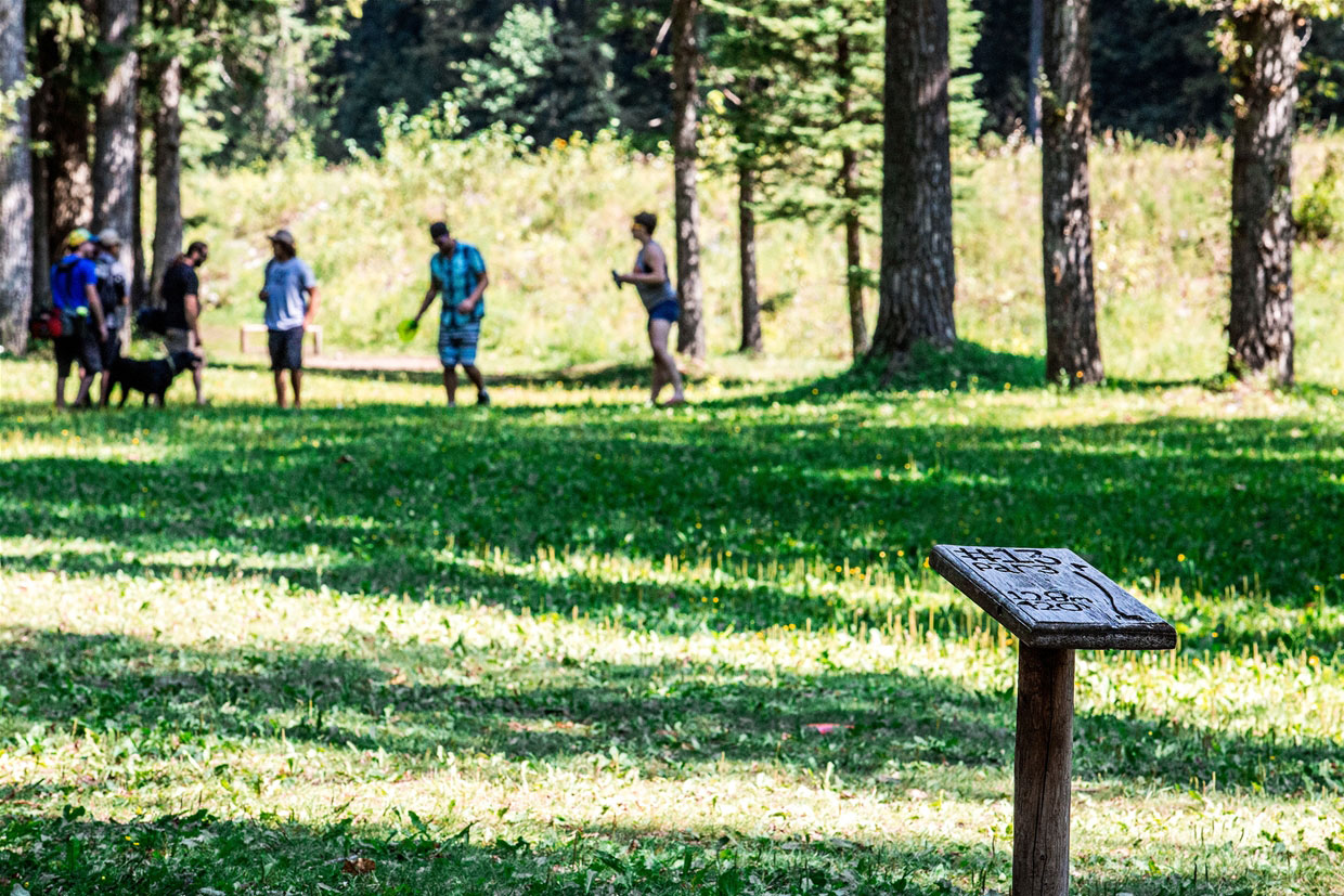 Disc golf in James White Park