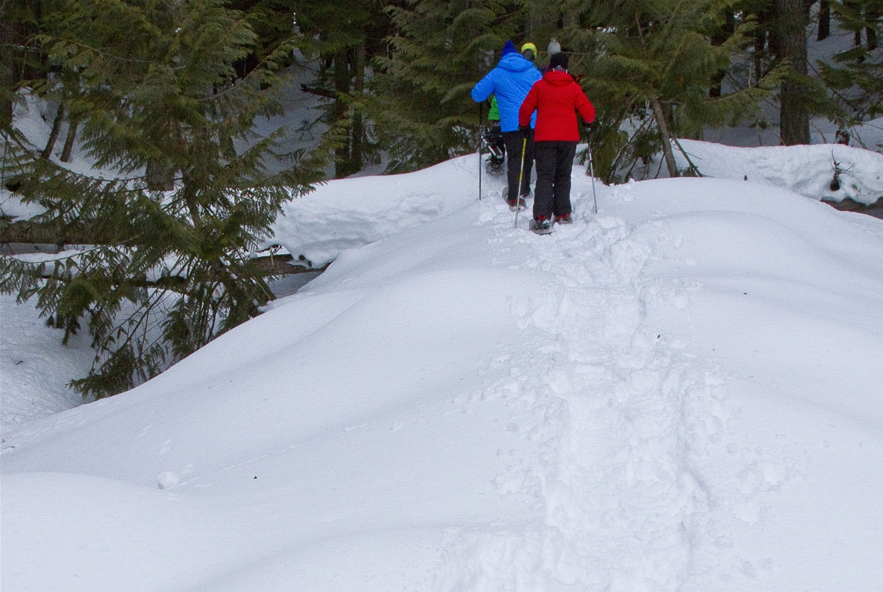 Snowshoeing around Fernie BC