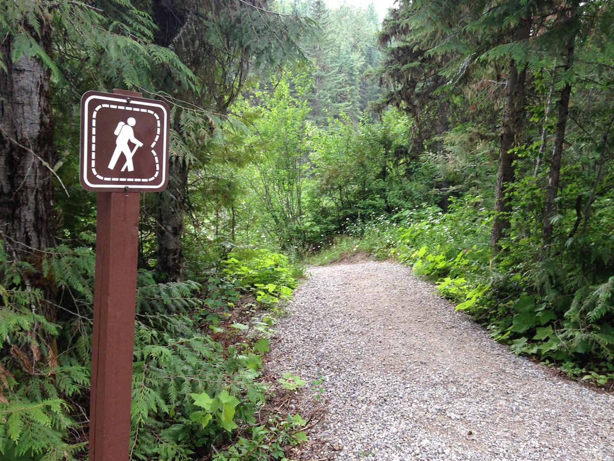 Mount Fernie Provincial Park - Trails