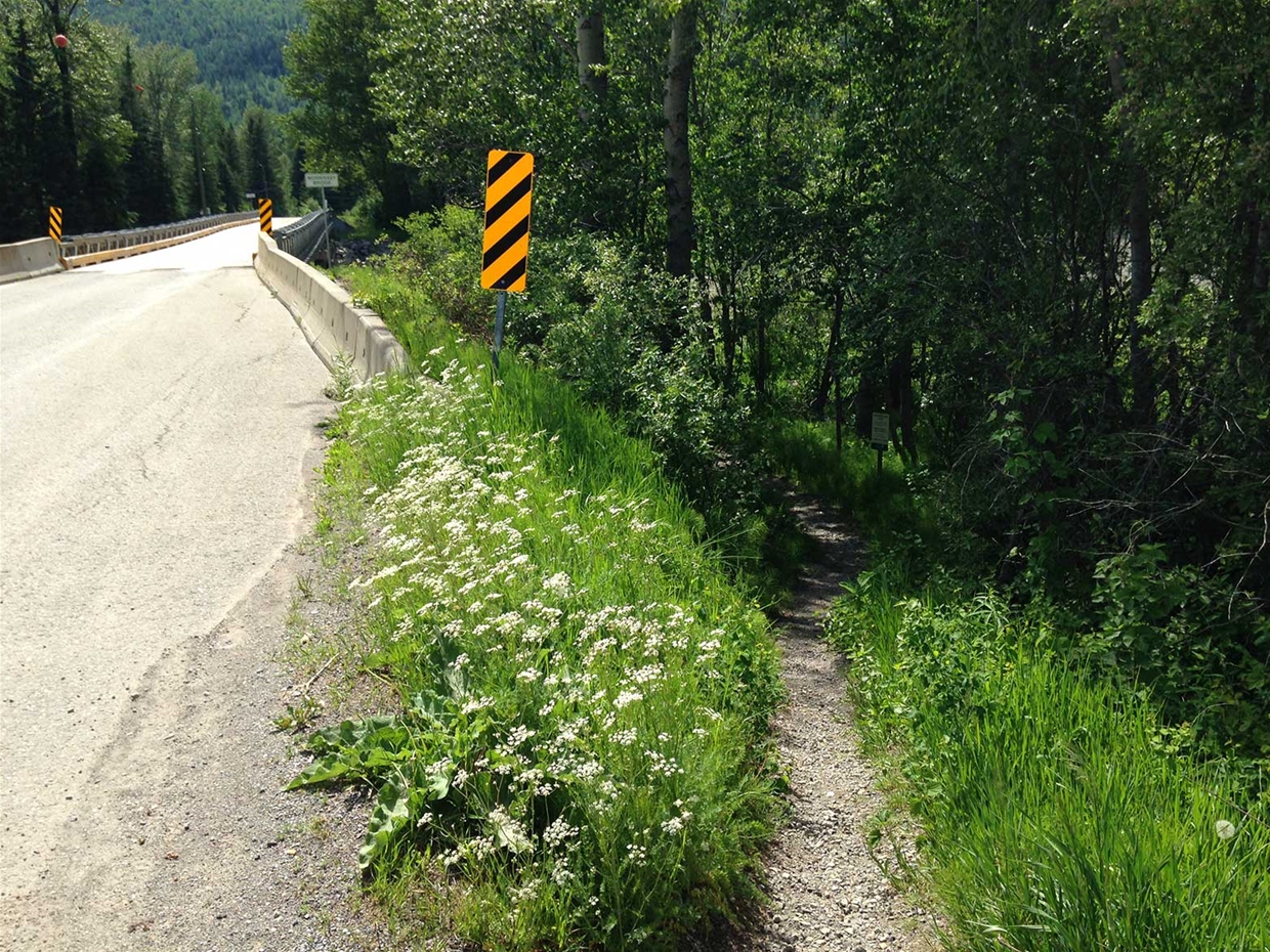 Ancient Cottonwood Trail - Start of trail by Morrissey Bridge/Rd & Elk River